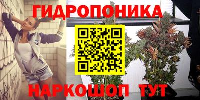 индика Беслан