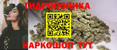 индика Беслан