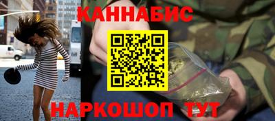 индика Беслан