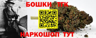индика Беслан