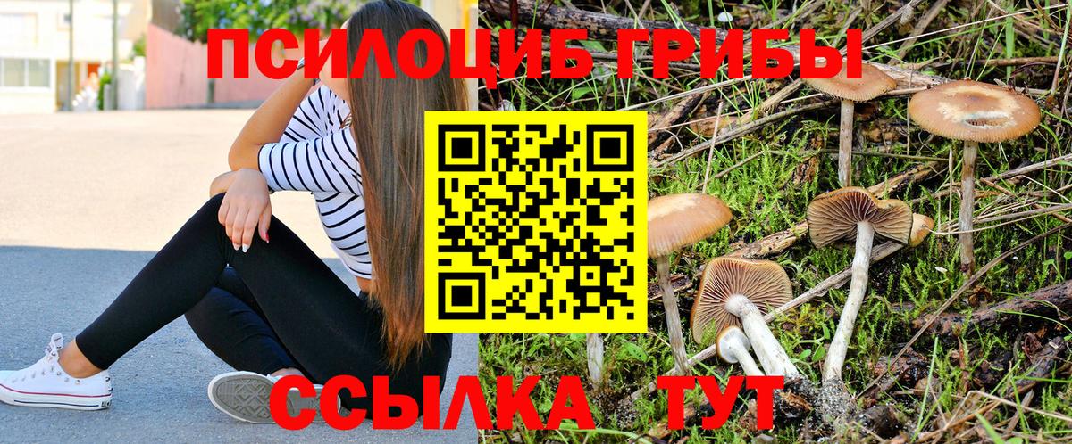 Псилоцибиновые грибы GOLDEN TEACHER  Вход с VPN  Дмитров 
